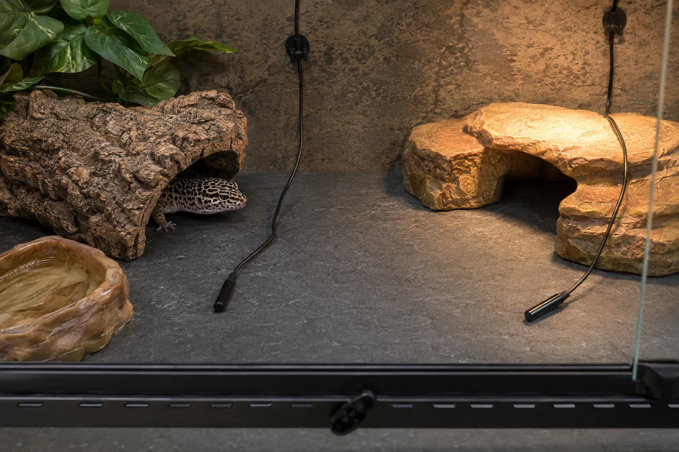 A leopard gecko enclosure with thermometer probes placed across warm and cool zones.